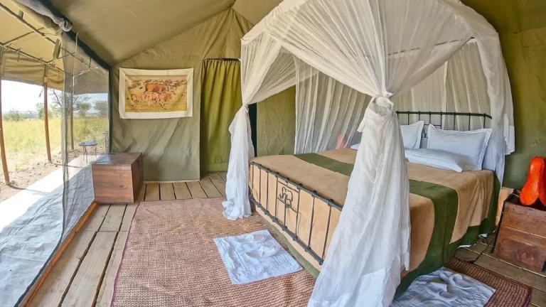 Ang’ata Migration - Bologonja Camp (2)