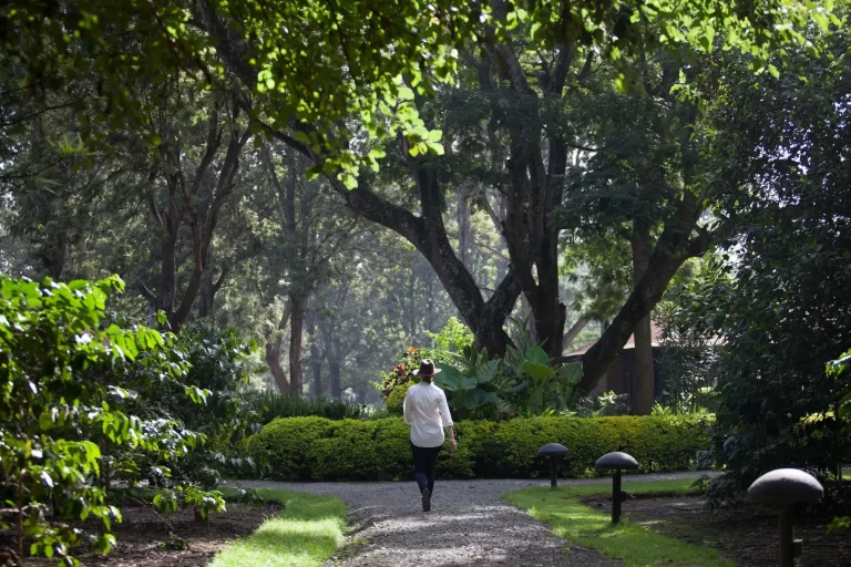 Arusha-Coffee-Lodge-4-3