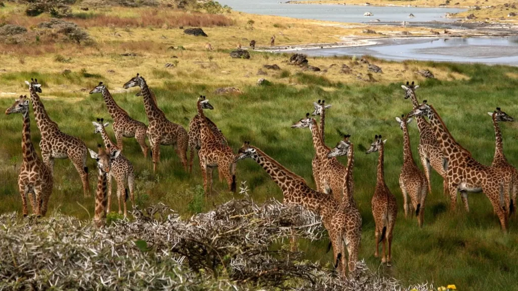 Arusha National Park