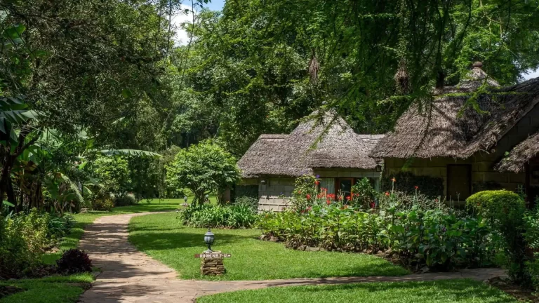 Arusha serena hotel 1