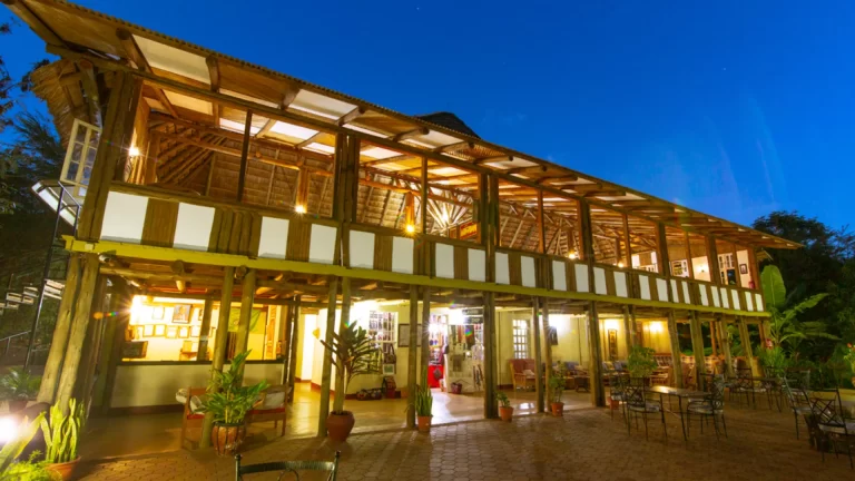 Eileen's Trees Inn - Karatu (8)