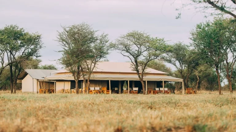 Kon Tiki Serengeti Camp (8)