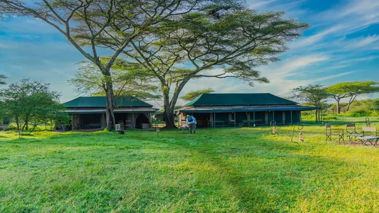 Ndutu Heritage Camp (2)