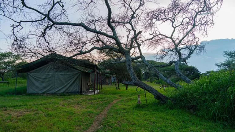 Ndutu Heritage Camp (3)