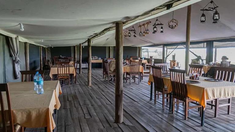 Ndutu Heritage Camp (5)