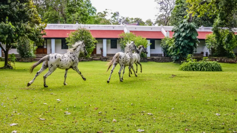 Ngare Sero Mountain Lodge (1)
