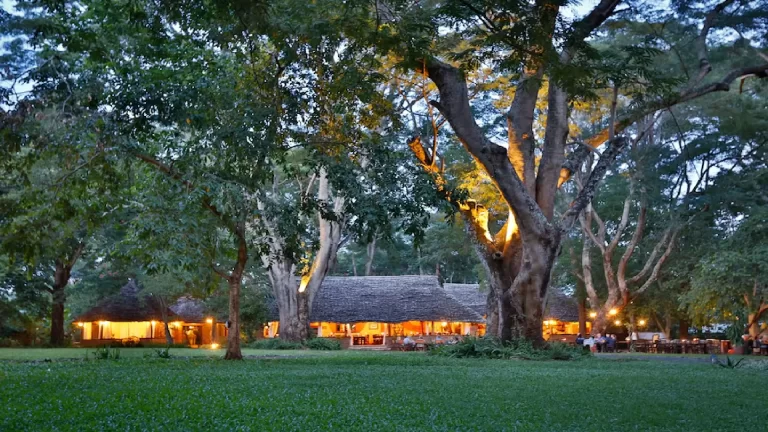 River Tree Country inn