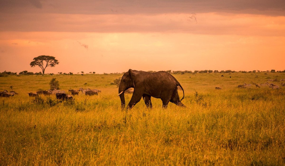 Serengeti National Park