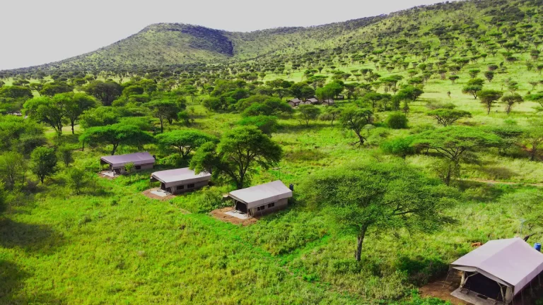 Serengeti Osupuko camp (1)