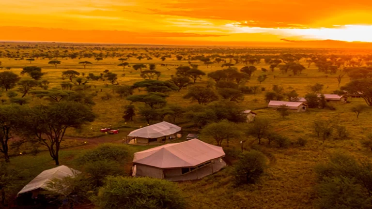 Serengeti Osupuko camp (4)