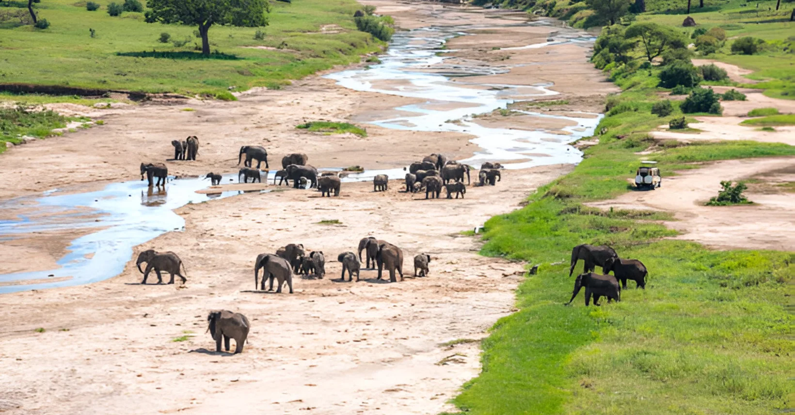 Tarangire-national-park-