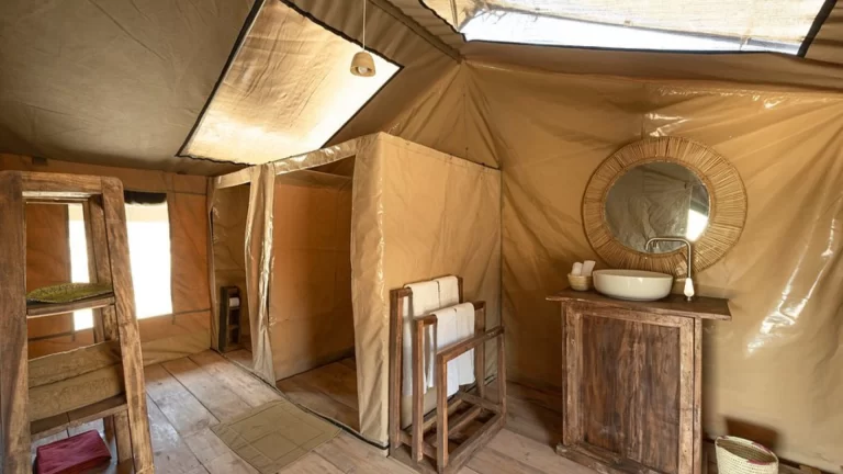 africa safari south serengeti (2)