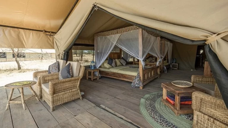 africa safari south serengeti (4)