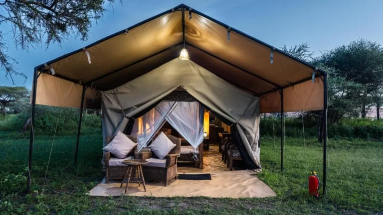 africa safari south serengeti