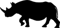 Black Rhino