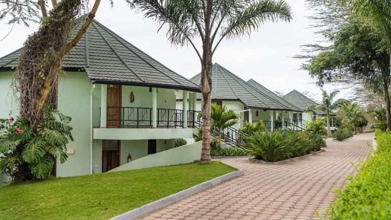 forest hill arusha 4