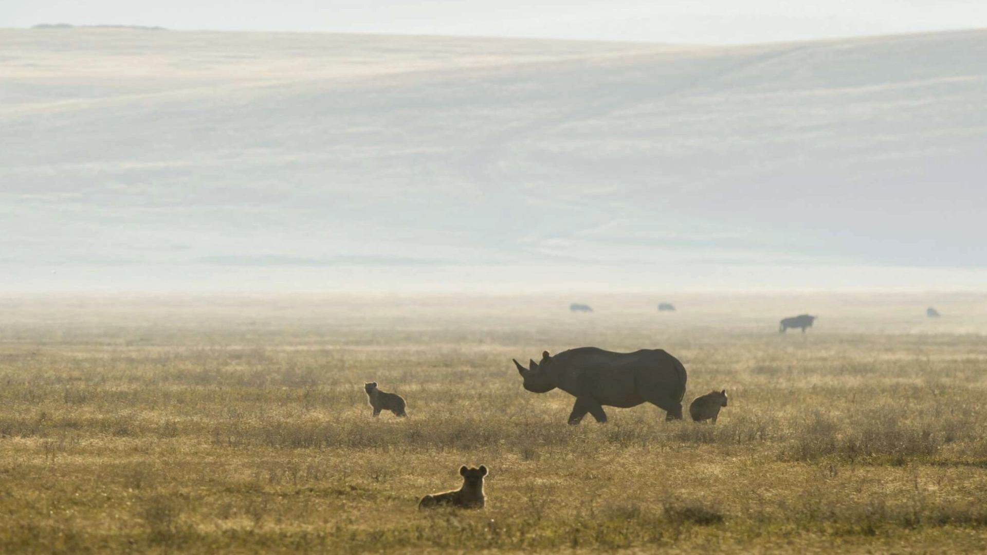ngorongoro crater adventure
