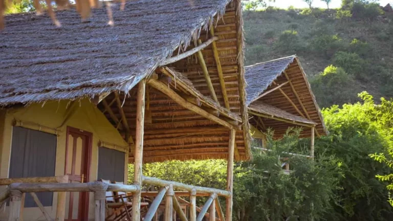 sangaiwe tented lodge tarangire (6)