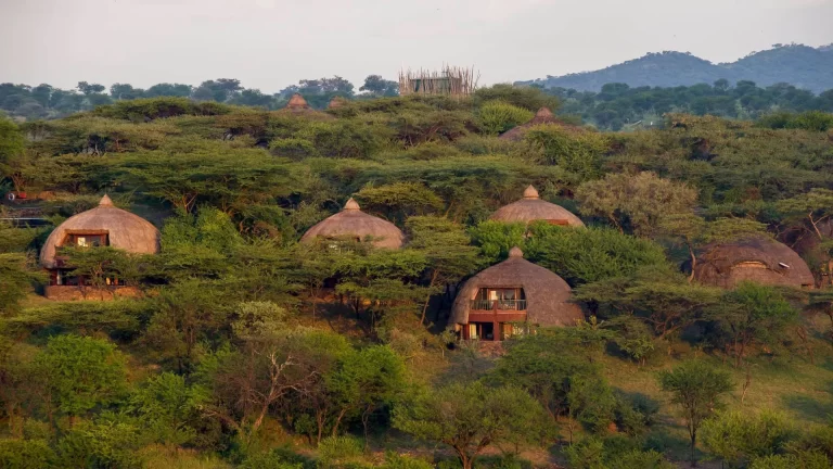 serengeti serena safari lodge