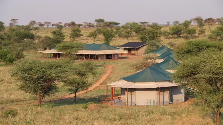 suenosdeafricaluxurycamp (2)