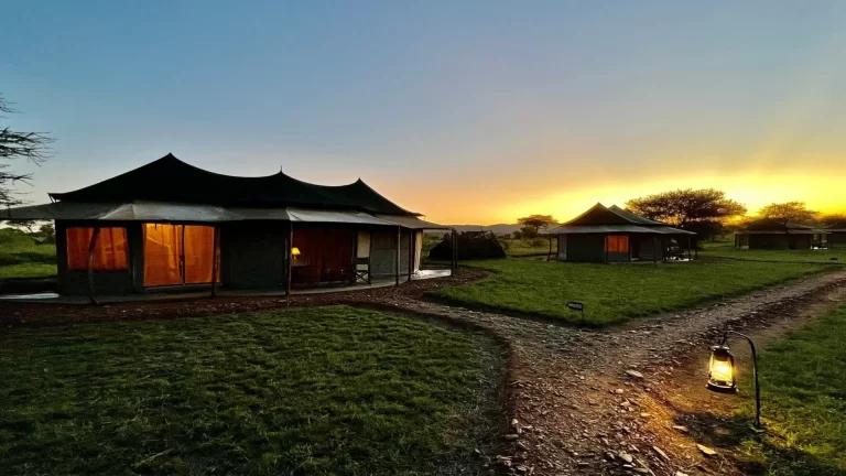 suenosdeafricaluxurycamp (4)