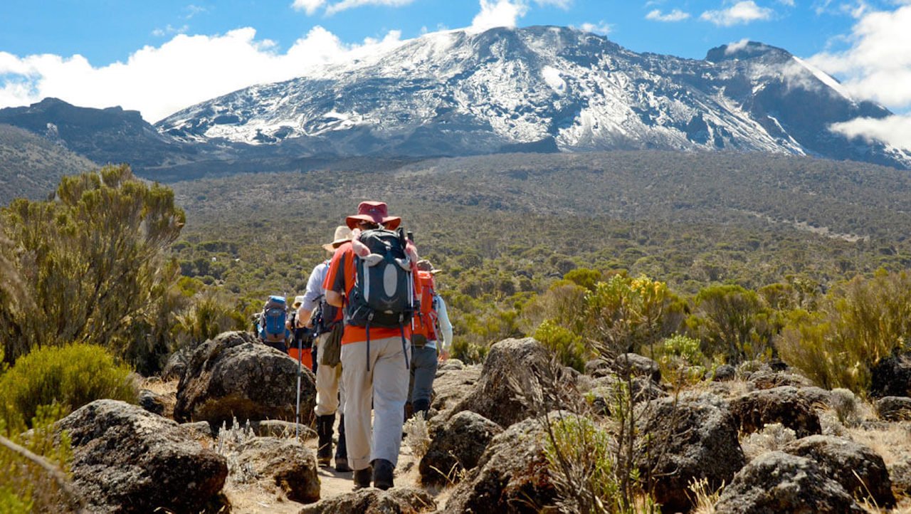 8-Day-Kilimanjaro-Trek-Lemosho-Route