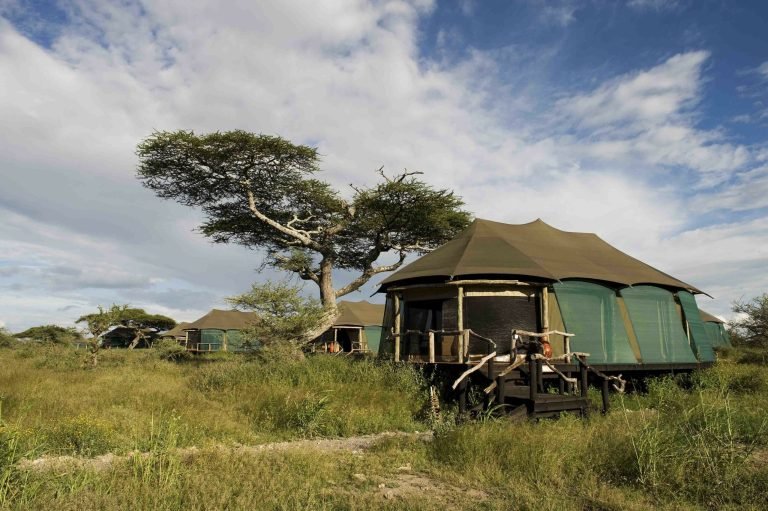 TWC10_0280-scaledMasek Tented Lodge