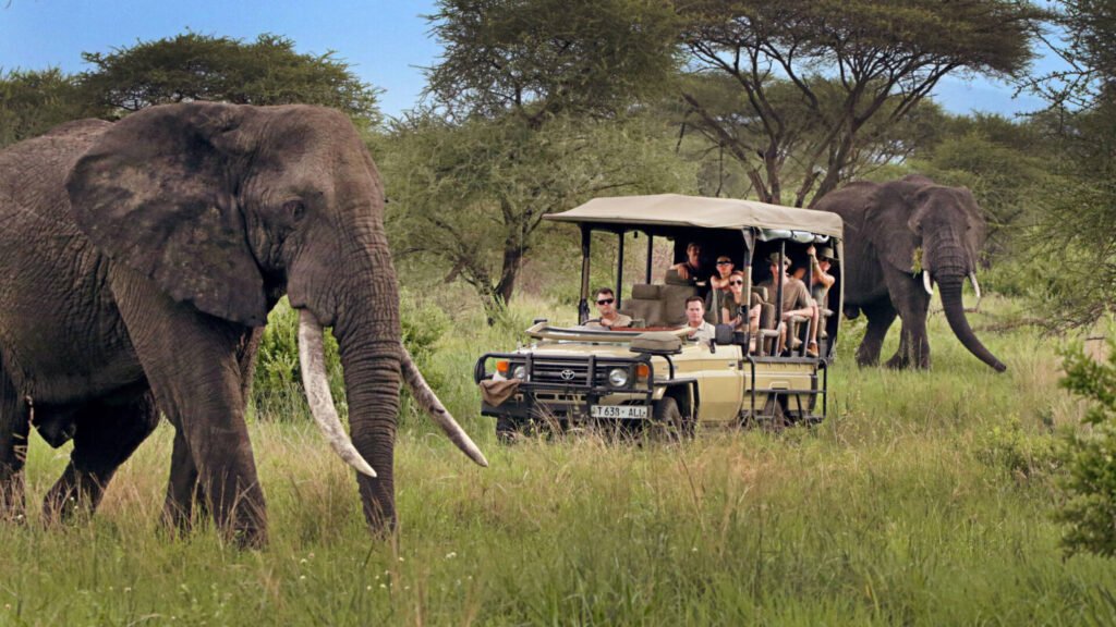 Private Safari Tansania: Ihr maßgeschneidertes Afrika-Abenteuer