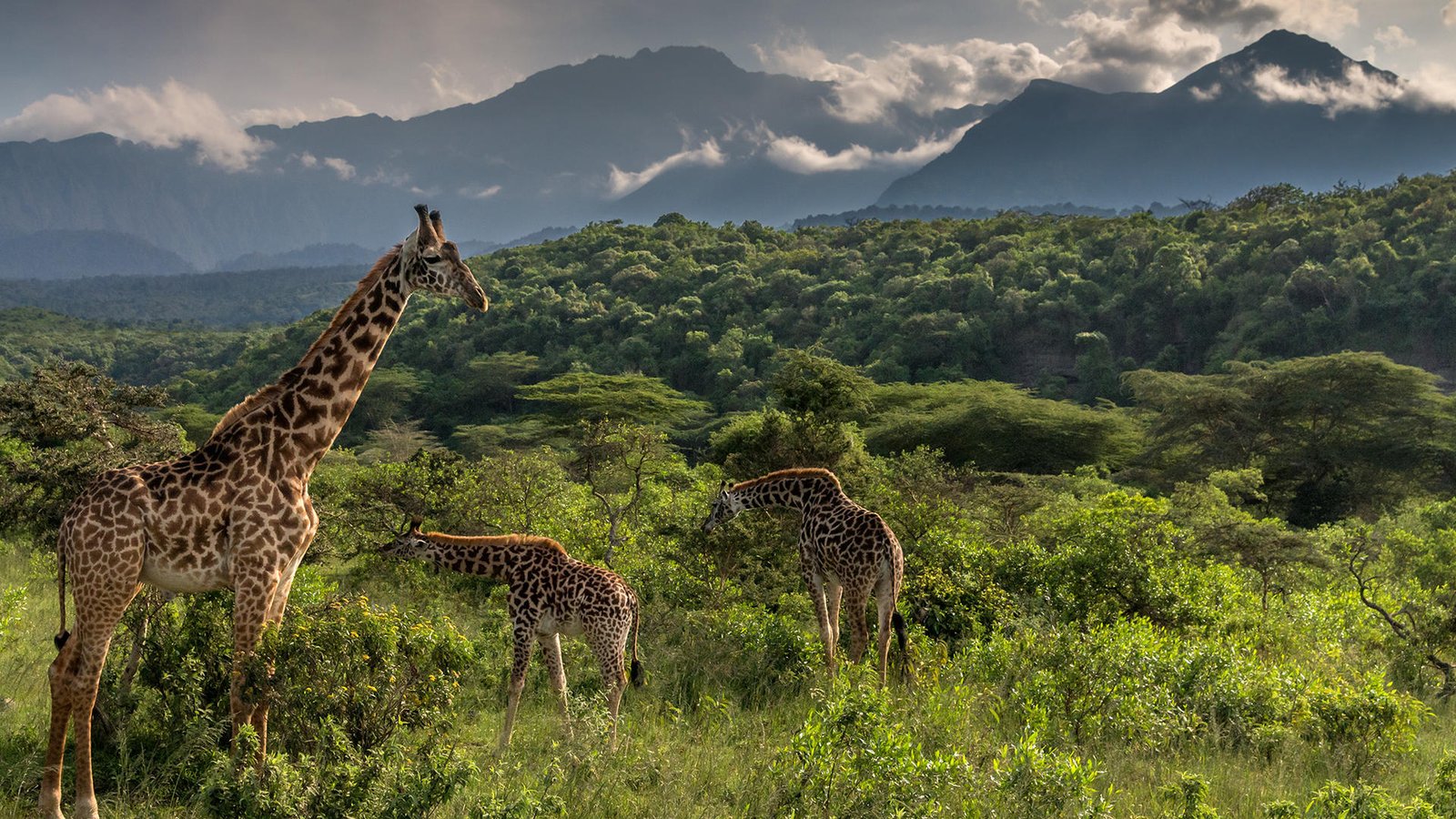 arusha-national-park-day-trips