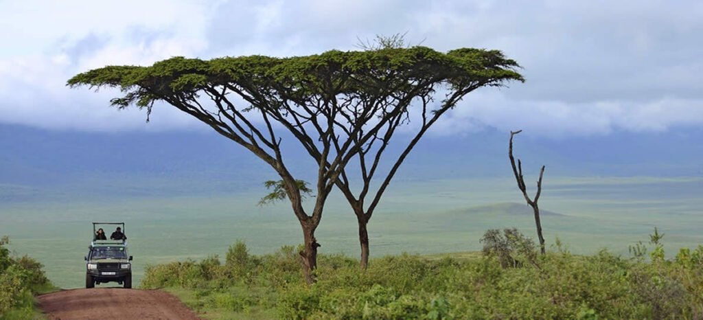 4 Tage Safari Verlängerung in den nördlichen Parks von Tansania mit Besuchen im Serengeti National Park, Ngorongoro Crater und Tarangire National Park