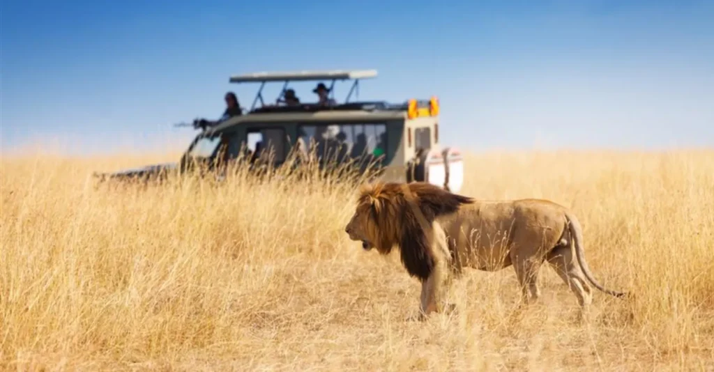 Safari ab Sansibar: Vom Strand in die Wildnis