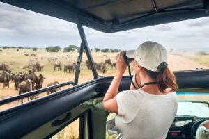 beste Reisezeit Safari Kenia und Tansania