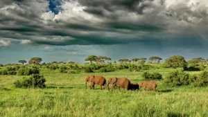 tanzania in april, Arusha Tansania
