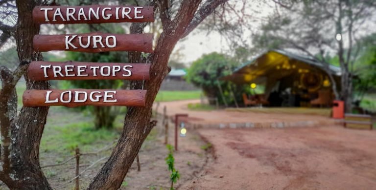 tarangire_kuro_treetops_lodge300
