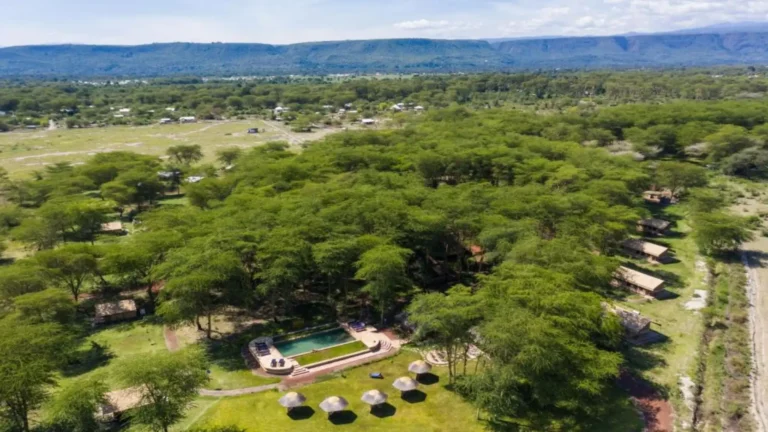 africa safari lake manyara lodge
