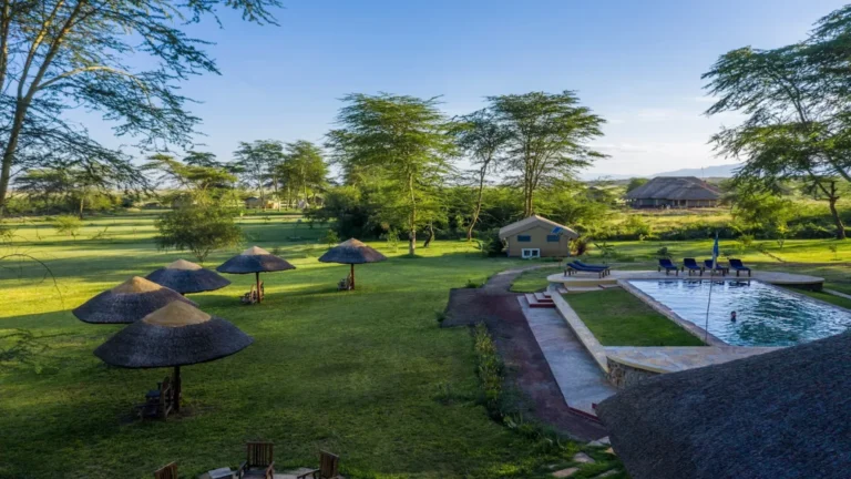 african safari lake manyara lodge swimming pool