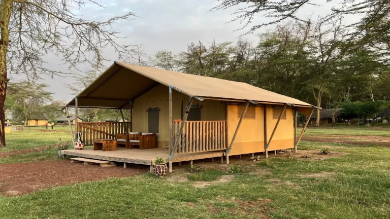 paradise wilderness africa safari lake manyara