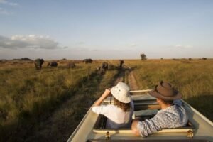 Tanzania tour and safaris, Mkomazi Nationalpark Safari