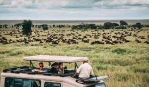 Serengeti & Ngorongoro Safari – Fly In from Zanzibar