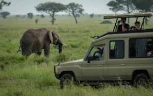 Is it safe to go to Tanzania - Safe safari transportation options, Nordtansania