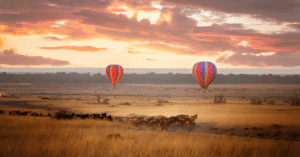 Kenya safari Welche Bäume gibt es in Tansania