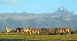 Mount-Kenya-National-Park-wildlife-safari