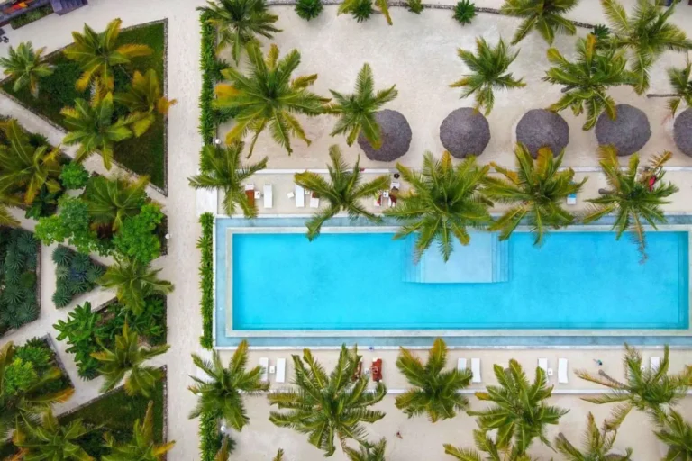 86755e81f1e1f9eba2b0cf08401842e313770b87a9aeaadb235c7ac7456ee7d0