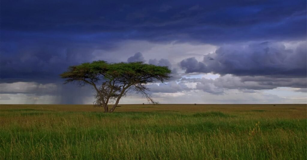Gnus überqueren den Mara Fluss in der Serengeti umgeben von Krokodilen Tansania