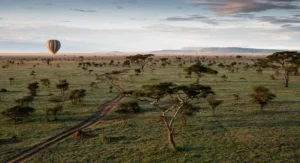 Die beste Reisezeit für Tansania ist die Trockenzeit von Juni bis Oktober. Wann du reisen solltest & was jede Jahreszeit bietet – hier erfährst du es.