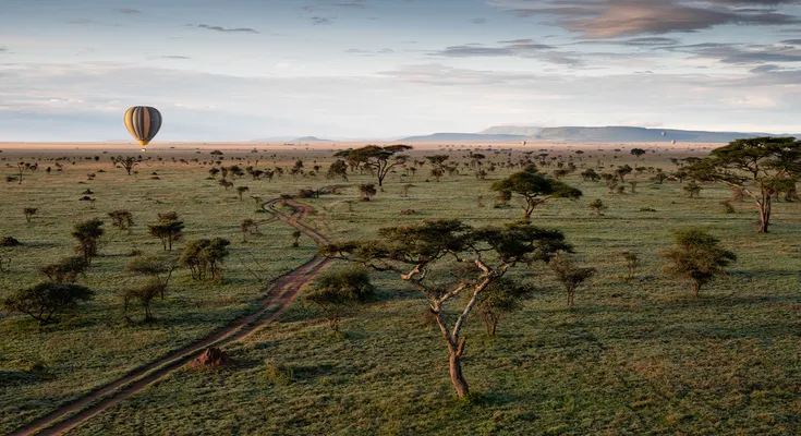 Die beste Reisezeit für Tansania ist die Trockenzeit von Juni bis Oktober. Wann du reisen solltest & was jede Jahreszeit bietet – hier erfährst du es.