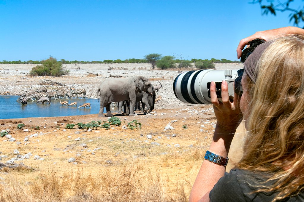 Tansania Safari Abenteuer: Wildlife-Fotografie in Tansania Nationalparks mit Safari-Fotos und Safari Tipps für unvergessliche Tierbeobachtungen.“