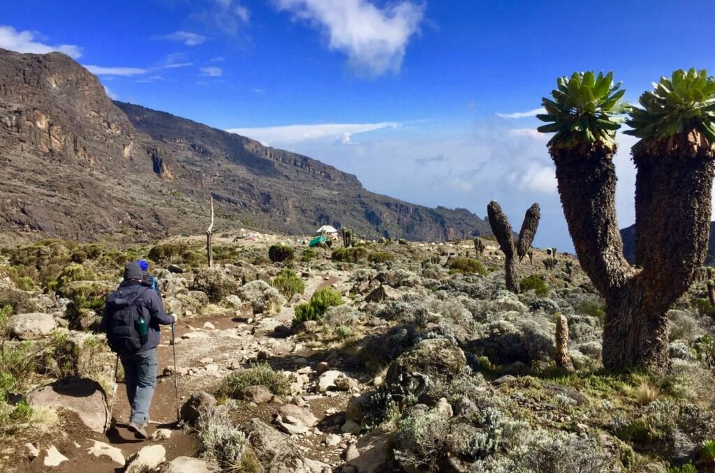 Kilimanjaro Besteigung auf der Machame Route mit Blick zum Uhuru Peak – Trekking über Machame Camp auf dem Weg zum Gipfel Afrikas